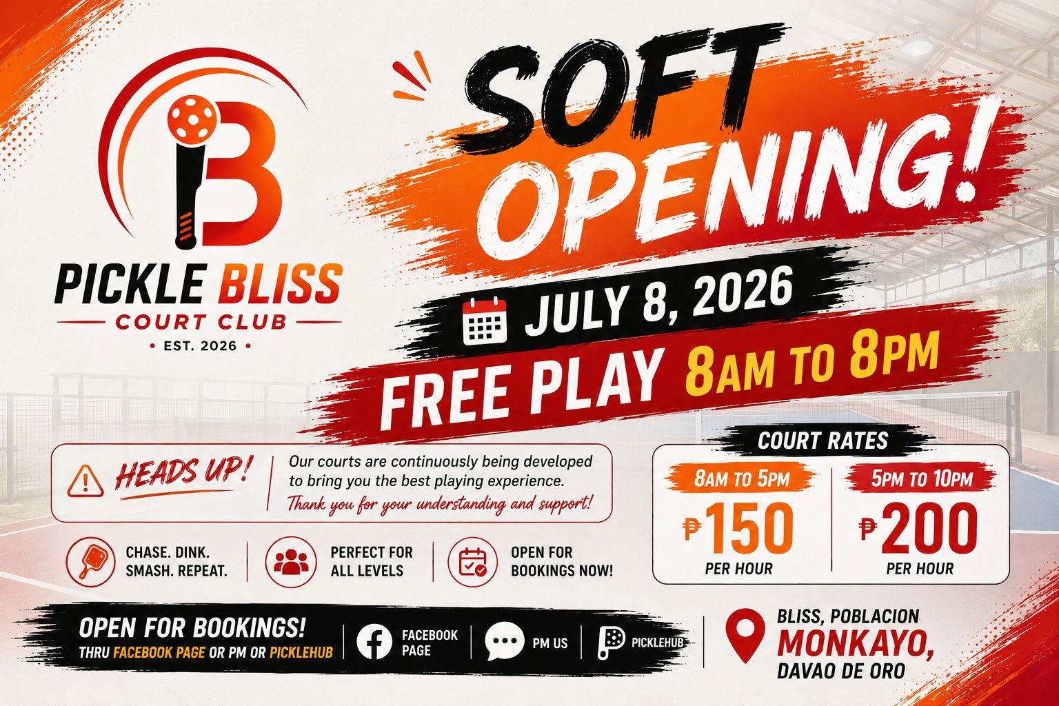 Pickle Bliss Court soft opening promo
